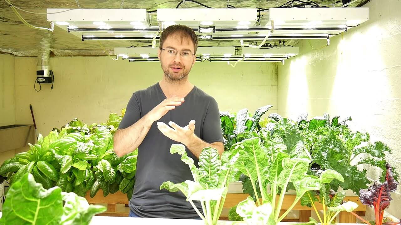 Living Green: Growing Your Food In The Basement